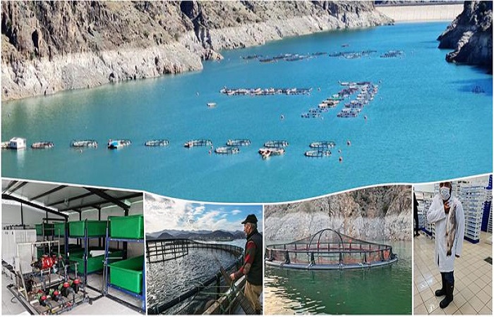 2025 Yılı Su Ürünleri Yetiştiriciliği Destekleme Başvuruları Başladı.